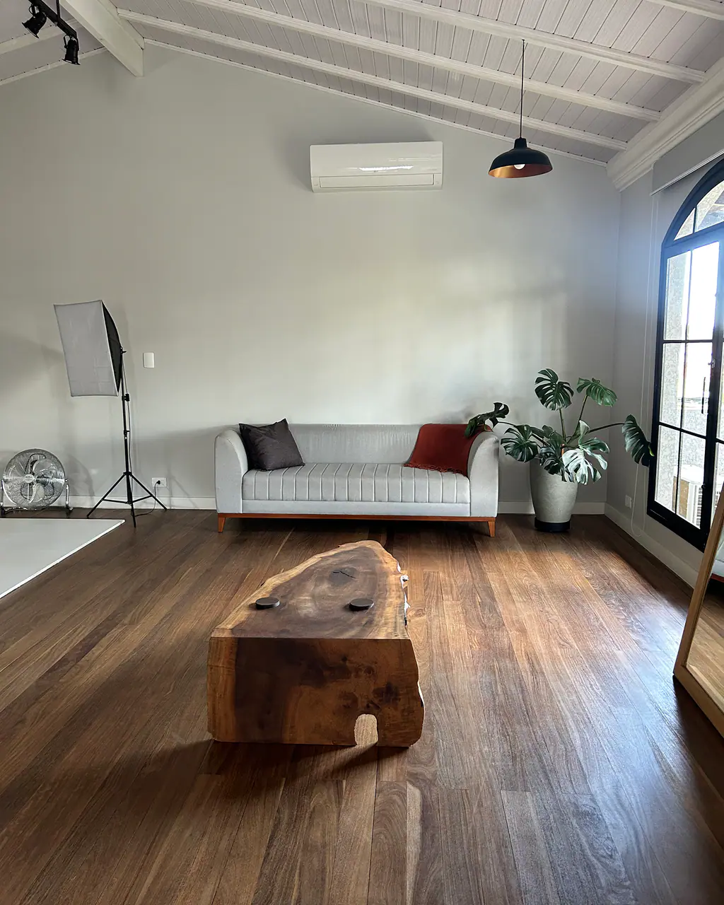 Sala com sofá cinza, luminária pendente, planta e softbox de iluminação sobre piso de madeira no Mammü estúdio